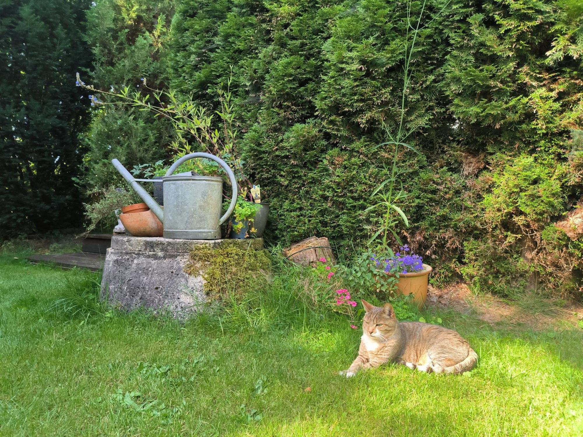 Ferienhaus Inger - Stilvolles Und Modernes Ferienhaus Mit Terrasse Und Gartennutzung Tarp Bagian luar foto